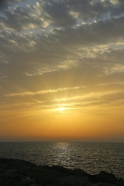 photo 763887