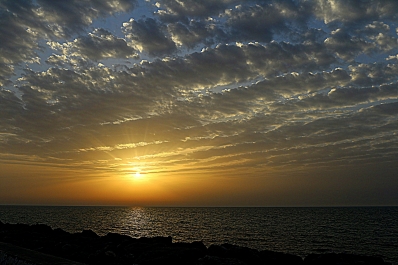 photo 773934