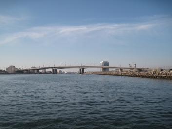 photo 325498