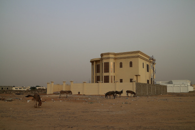 photo 429235