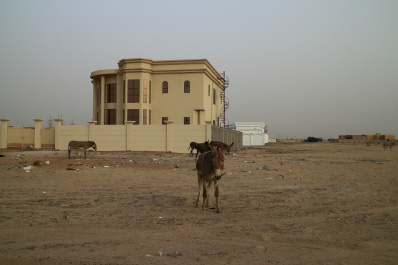 photo 429236