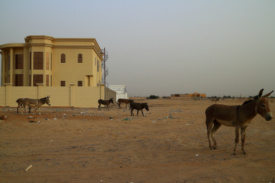 photo 429244