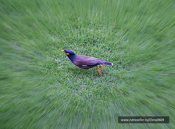 photo 685113