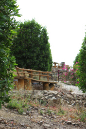 photo 347975