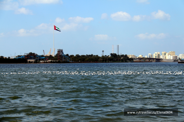 photo 1231565