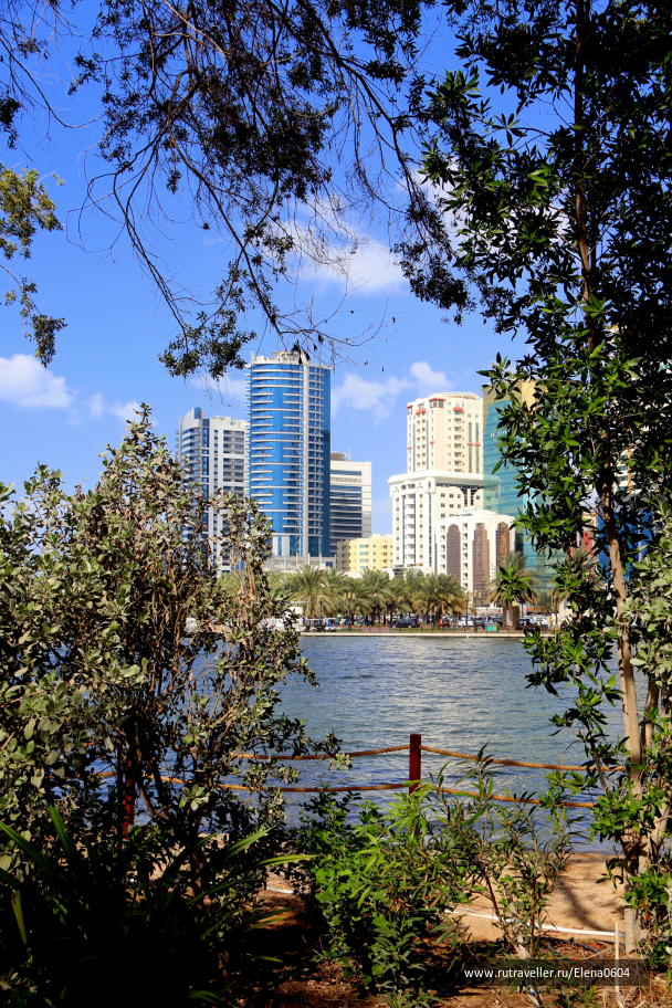 photo 1236724
