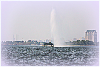 photo 425449