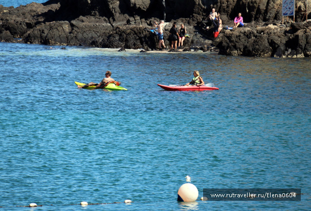photo 1180812