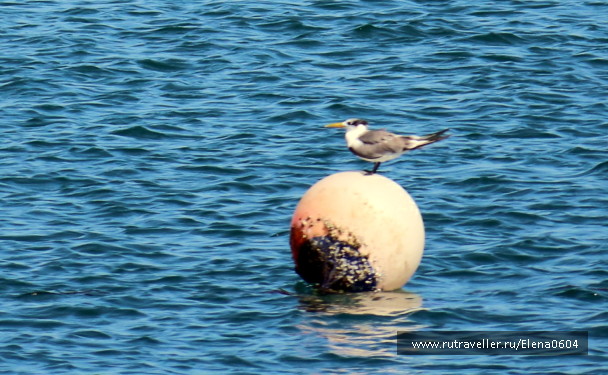 photo 1190901