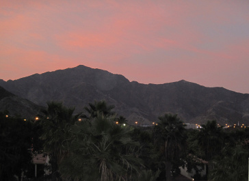 photo 365473