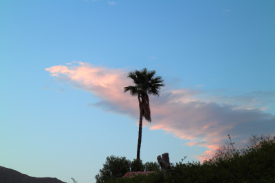 photo 377343