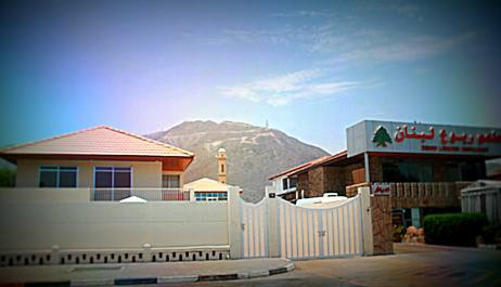 photo 446978