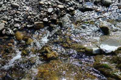 photo 674021