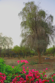 photo 371958