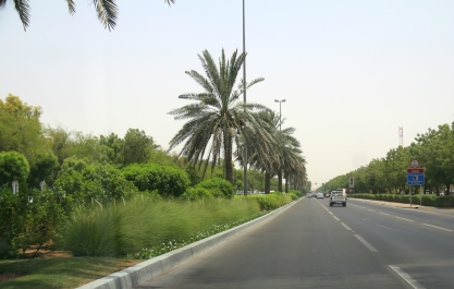 photo 888329