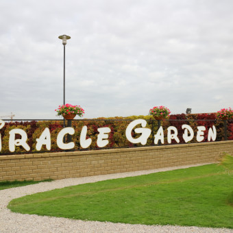 Miracle Garden (Cад Чудес), Сад бабочек и Dubai Land - Дубаи