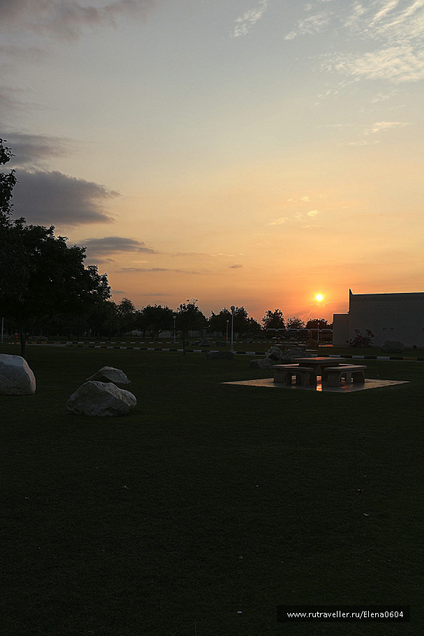 photo 617496