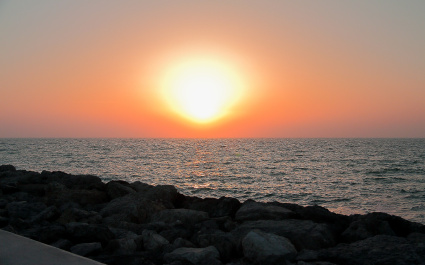 photo 398373