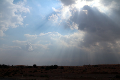 photo 598245