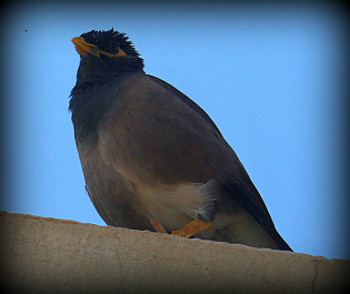 photo 683415