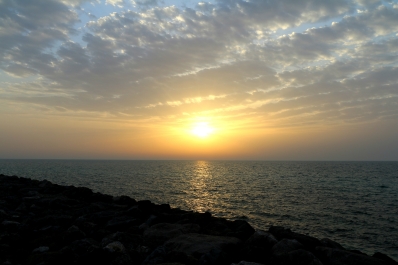 photo 794166