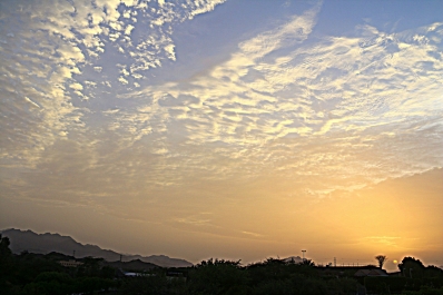 photo 956925