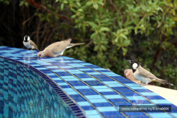photo 1141363