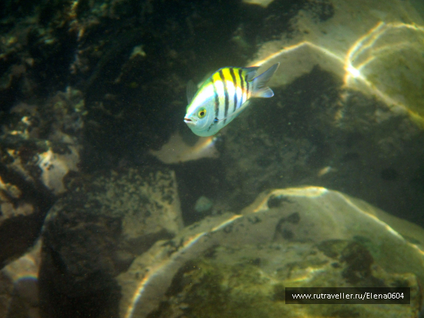 photo 1145061