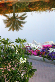 photo 714337