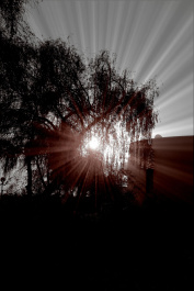 photo 403325