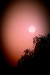 photo 403332