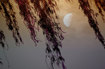 photo 404517