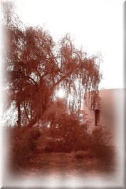 photo 407829