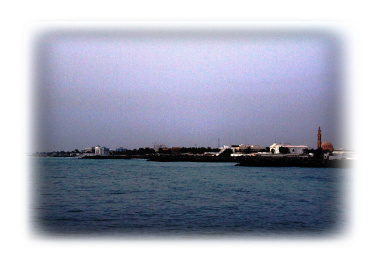photo 409923