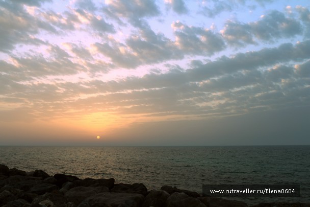 photo 809721