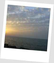 photo 809723