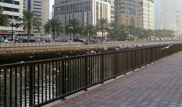 IMG_0191