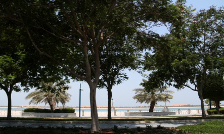 photo 461342