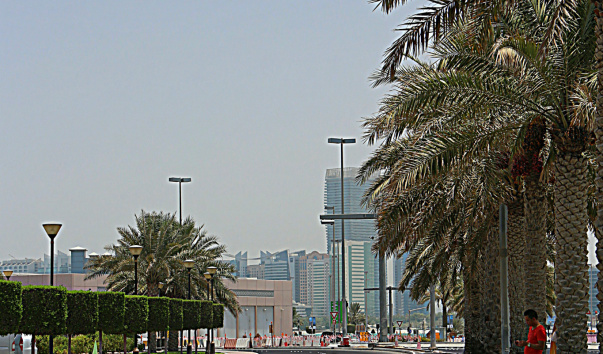 IMG_1950