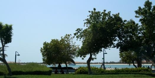 photo 800918