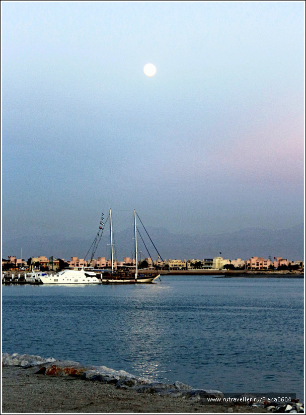 photo 1052159