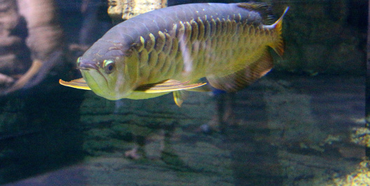 photo 370811