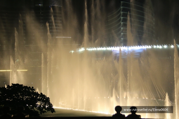 photo 775698