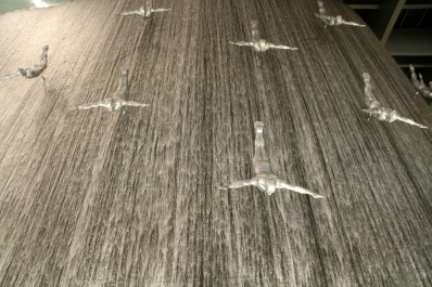 photo 785942