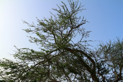 photo 736854