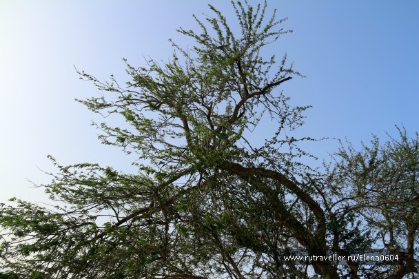 photo 736854