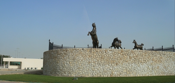 photo 736867