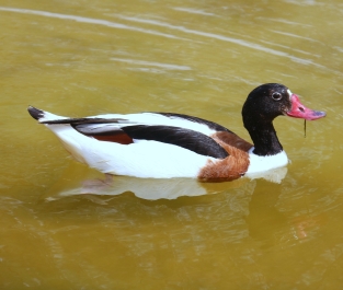 photo 745242