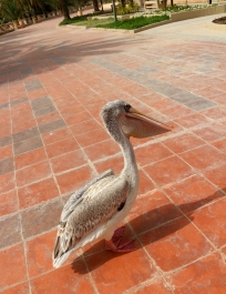 photo 746309