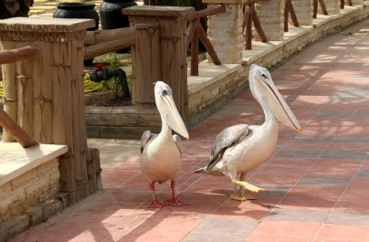 photo 746312